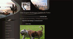 Desktop Screenshot of castlebulls.de